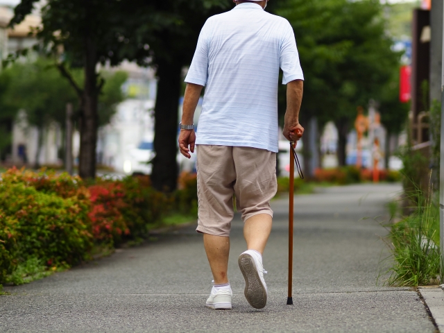 【ブログ記事】 脊柱管狭窄症（せきちゅうかんきょうさくしょう）とは？症状・検査・治療法をわかりやすく解説　板野郡にある美馬接骨院